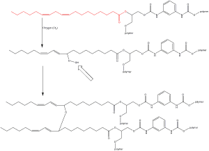 polymerization2